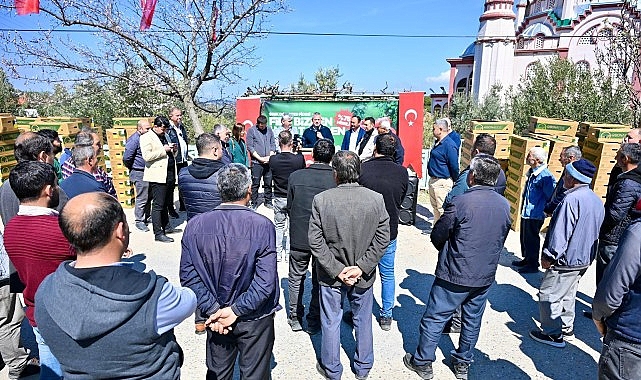 Gördes’te Üreticinin Yüzü Güldü: 73 Bin Domates Fidesi Toprakla Buluşuyor