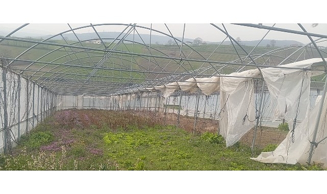 Büyükşehir’den seraları zarar gören üreticilere destek