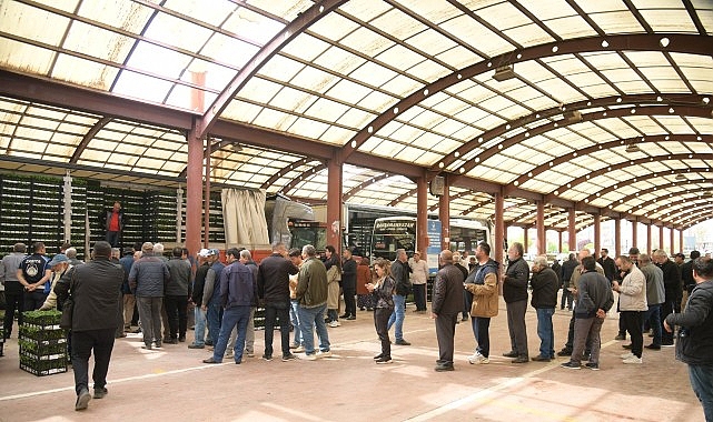 Kahramankazanlı Çiftçilere Fide Desteği Verildi