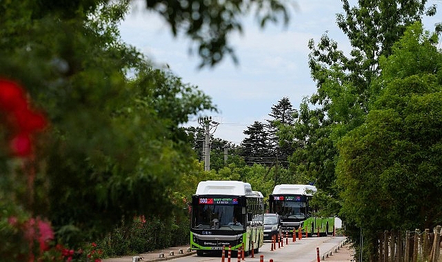 800CK’da tüm yollar Kandıra sahillerine çıkacak