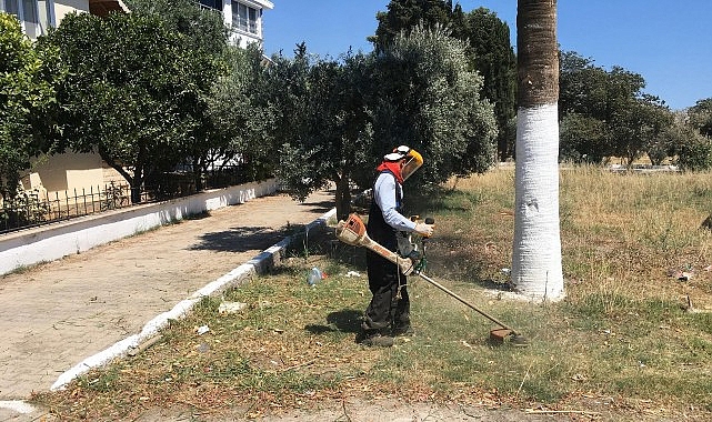 Didim Belediyesi’nden Kente Özenli Dokunuş: Kendi Üretimi Çiçekler Toprakla Buluşuyor